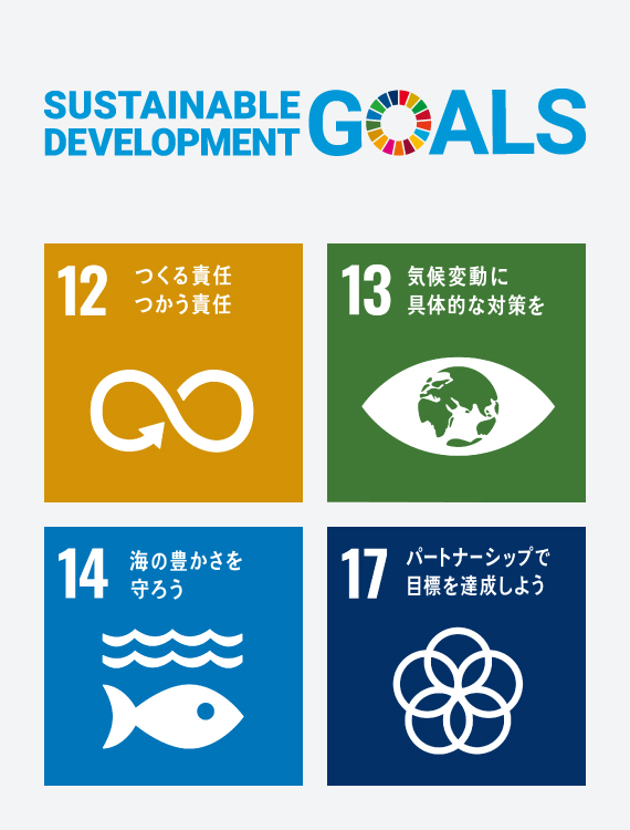 SUSTAINABLE DEVELOPMENT GOALS